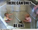 There can be only one babies.jpg