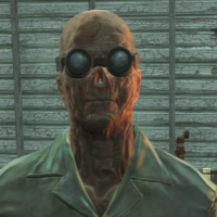The-Cook.png